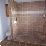 Master bathroom - all new